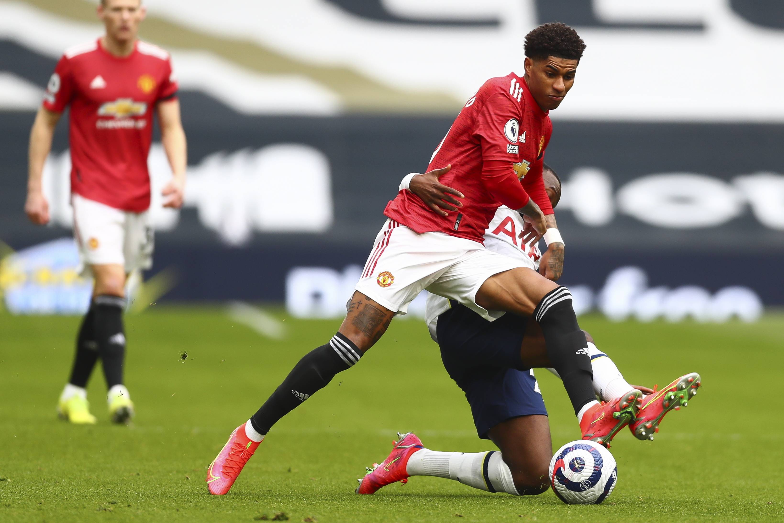 不同地区的 不同地区的